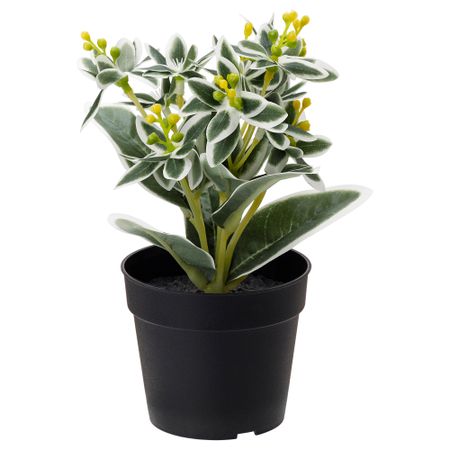 Искусственное растение в горшке ФЕЙКА, Молочай разноцветный (9 см)