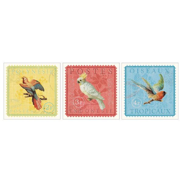 Картина, 3 шт ПЬЕТТЕРИД, экзотические птицы (30x30 см) - схема-чертеж с размерами