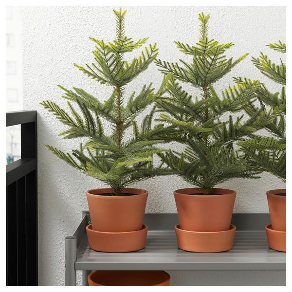 Искусственное растение в горшке ФЕЙКА, д/дома/улицы Араукария (12 см) - фото 3