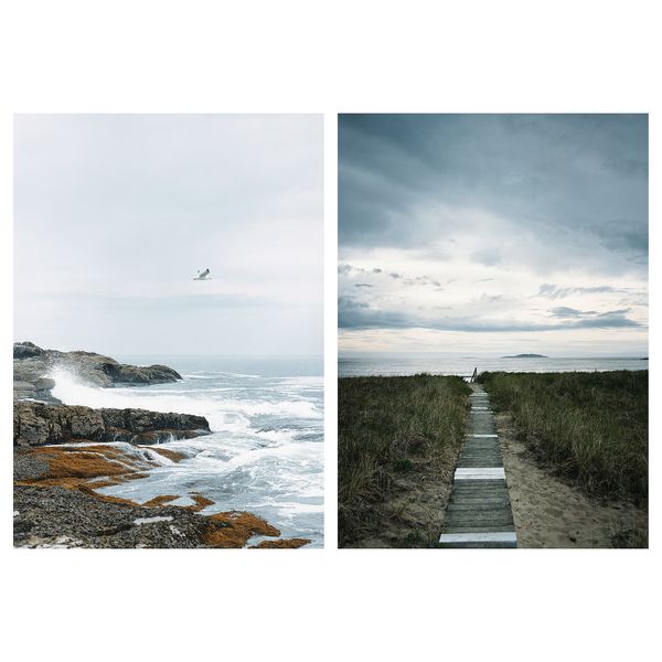 Картина, 50x70 см, Дорога на пляж IKEA PJÄTTERYD ПЬЕТТЕРИД 105.544.86 - фото 2