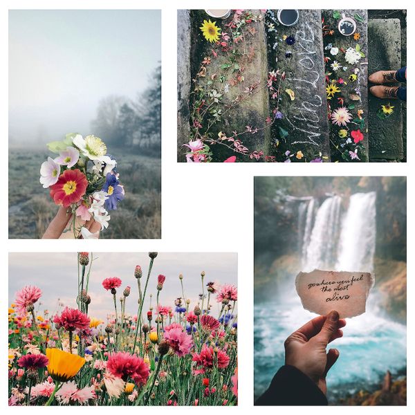 Открытка, Цветы 10x15 см IKEA ЮЛЛЕВАД 804.657.26 - схема-чертеж с размерами