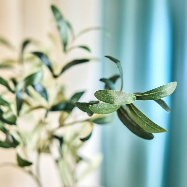 SMYCKA Цветок искусственный - д/дома/улицы/Ветка оливы 75 см - схема-чертеж с размерами