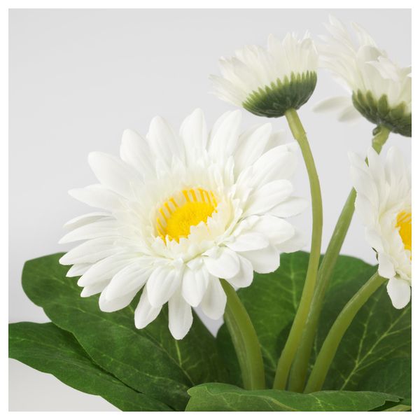 Искусственное растение в горшке ФЕЙКА, Гербера белый (9 см) - схема-чертеж с размерами