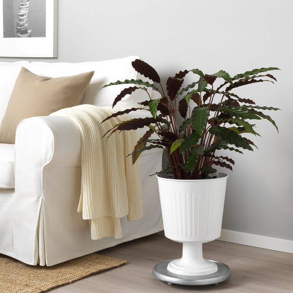 Вазон, для дома, улицы белый 24 см IKEA ЦИТРОНМЕЛИСС 304.645.12 - фото 3