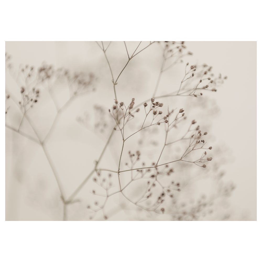 Холст, Цветы крупным планом, 140x100 см IKEA BJÖRKSTA БЬЁРКСТА 405.789.14 - фото 1