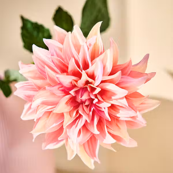 SMYCKA Цветок искусственный - д/дома/улицы Георгин/розовый 65 см - схема-чертеж с размерами