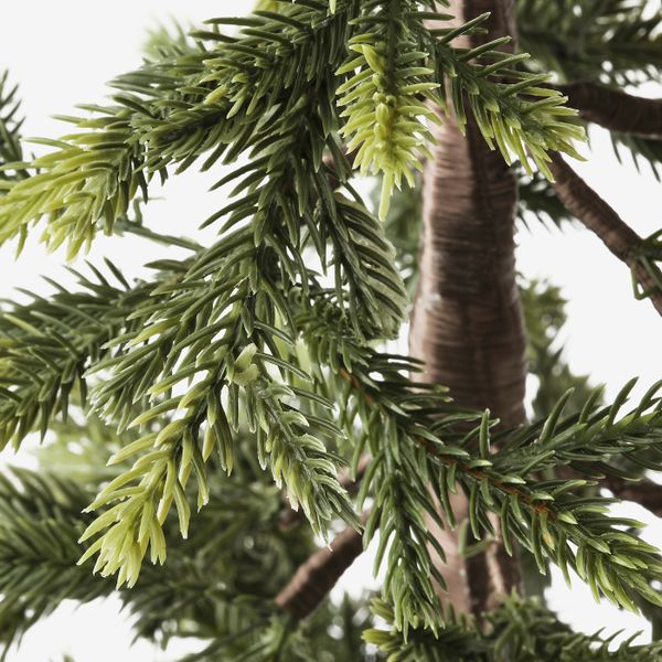 Искусственное растение в горшке, для дома/улицы рождественская елка, ель, 12 см IKEA ВИНТЕРФЕСТ 304.370.24 - схема-чертеж с размерами