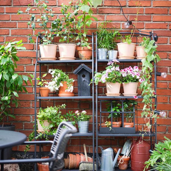 Садовое кресло, темно-серый IKEA LÄCKÖ ЛЭККЭ 704.633.08 - фото 3