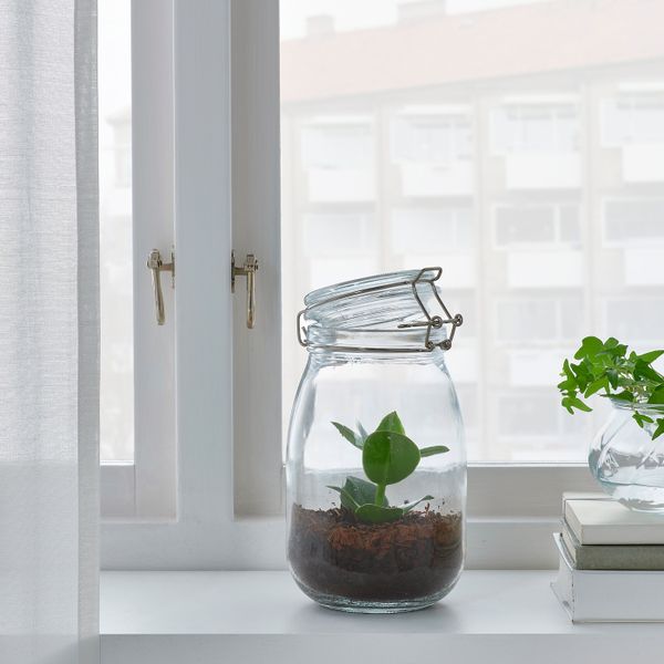 Флорариум, в банке, различные растения 1.8 л IKEA BLADVERK БЛАДВЕРК 904.862.81 - фото 2