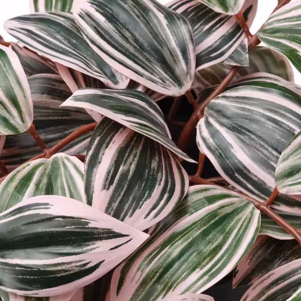 FEJKA Искусственное растение в горшке - д/дома/улицы Традесканция/сиреневый 12 см - схема-чертеж с размерами