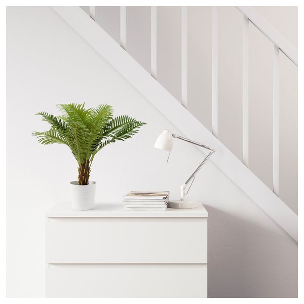 Искусственное растение в горшке ФЕЙКА, Саговая пальма (17 см) - фото 2