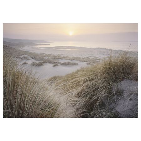 Холст, Рассвет на берегу, 200x140 см IKEA BJÖRKSTA БЬЁРКСТА 505.093.74