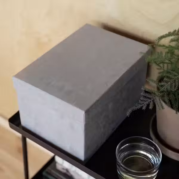 GJÄTTA ГЭТТА Коробка с крышкой - бархат светло-серый 18x25x15 см - фото 3