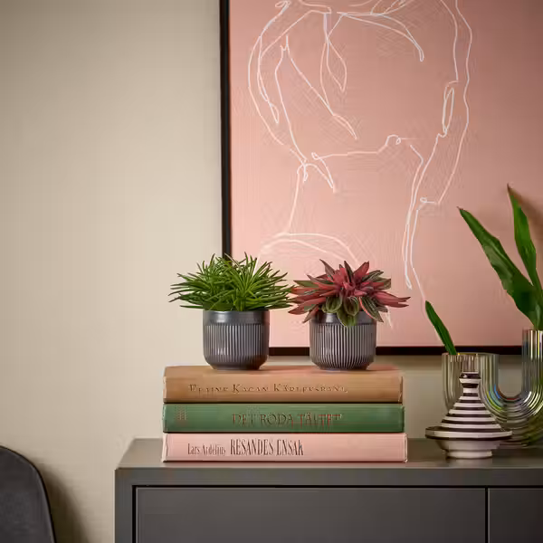 HIMALAYAMIX Растение в горшке - различные растения 6 см - схема-чертеж с размерами