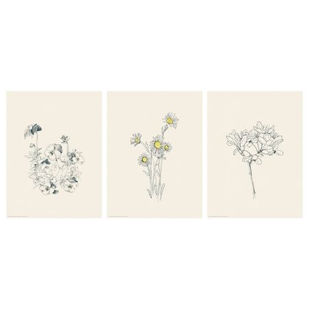 Постер, Цветы, 30x40 см IKEA БИЛЬД 904.321.70
