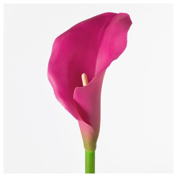 Цветок искусственный СМИККА, Зантедеския, розовый (75 см) - схема-чертеж с размерами