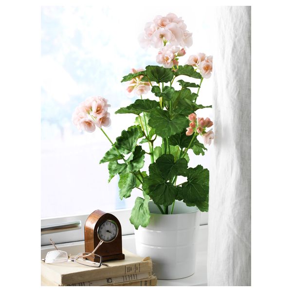 Искусственное растение в горшке ФЕЙКА, Герань разные цвета (12 см) - схема-чертеж с размерами