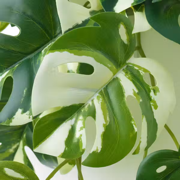 FEJKA Искусств растение с настенн держат - д/дома/улицы/зеленый - фото 7