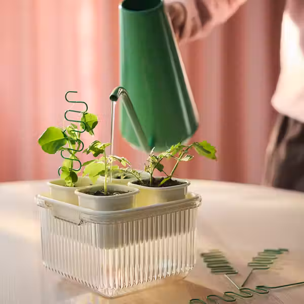 DOFTRIPS Набор д/выращивания рассады - прозрачный/белый с оттенком 16x16x14.5 см - фото 4