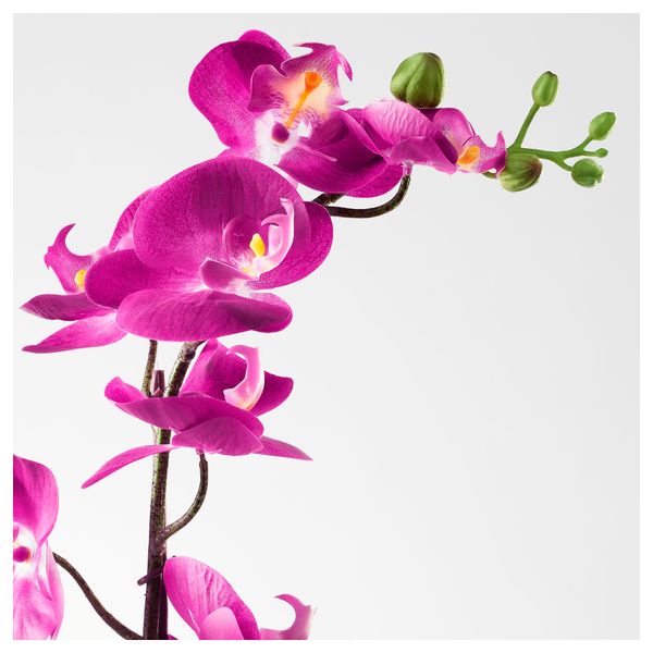 Искусственное растение в горшке ФЕЙКА, Орхидея темно-сиреневый (12 см) - фото 3