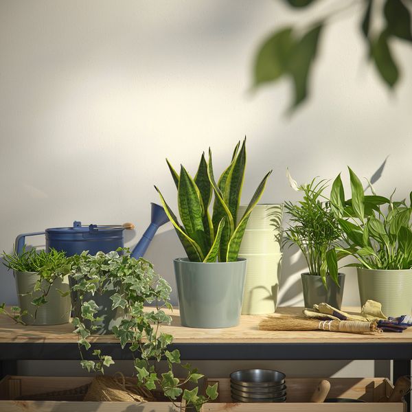 IKEA, дополнительный ракурс