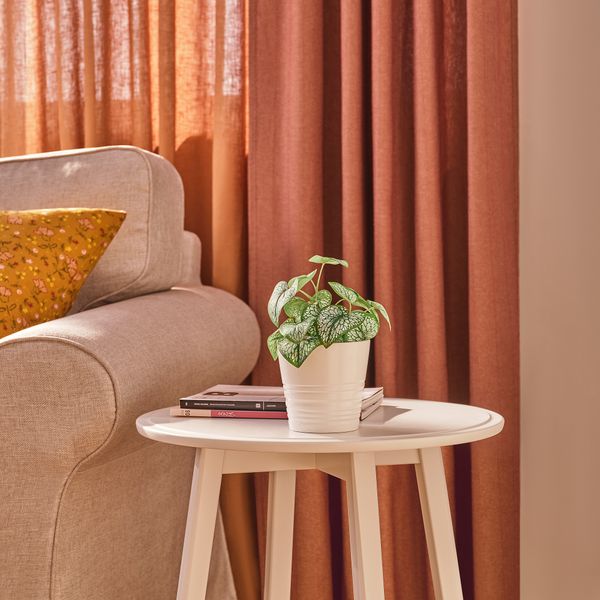 Искусственное растение в горшке, для дома, улицы Кавказская незабудка, 9 см IKEA FEJKA ФЕЙКА 105.825.02 - фото 4