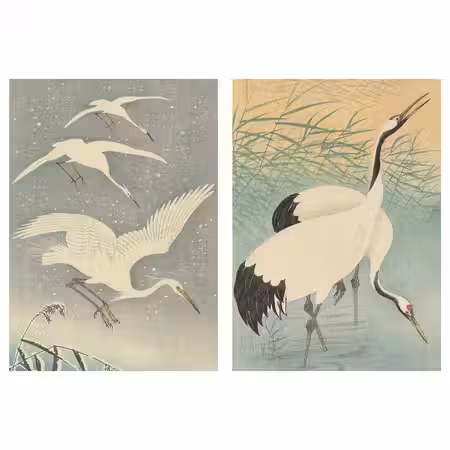 BILD Постер - Приземление 50x70 см