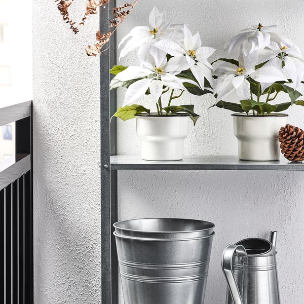 Искусственное растение в горшке IKEA VINTERFINT 205.621.41 - схема-чертеж с размерами