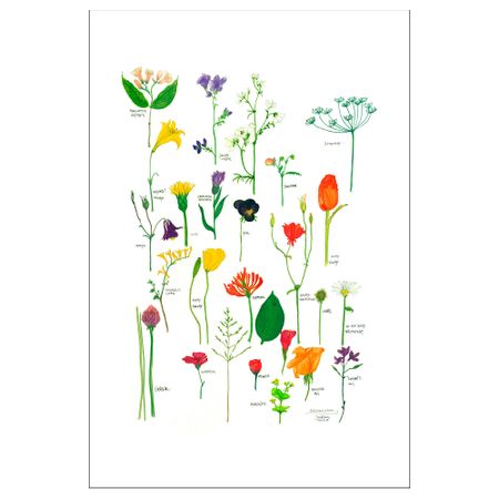 Постер, Цветы, 61x91 см IKEA DRÖMBILD ДРЁМБИЛЬД 504.417.94