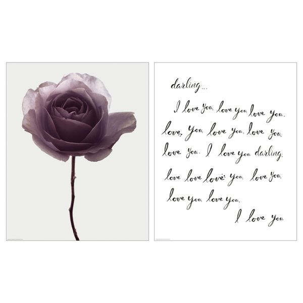 Постер, Романтичная роза, 40x50 см IKEA DRÖMBILD ДРЁМБИЛЬД 105.705.42 - фото 2