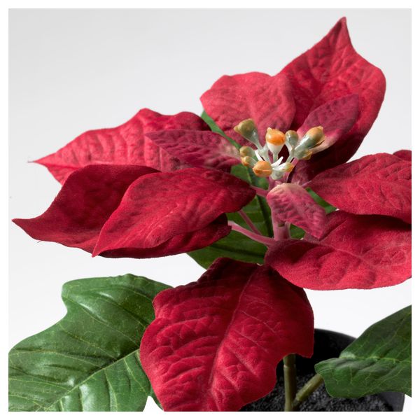 Искусственное растение в горшке ФЕЙКА, "Рождественская звезда" красный (9 см) - фото 2