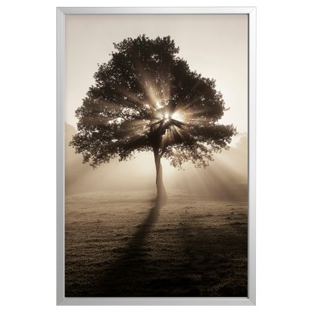 Картина с рамой, 78x118 см, Солнечные полоски/цвет алюминия IKEA BJÖRKSTA 194.716.51