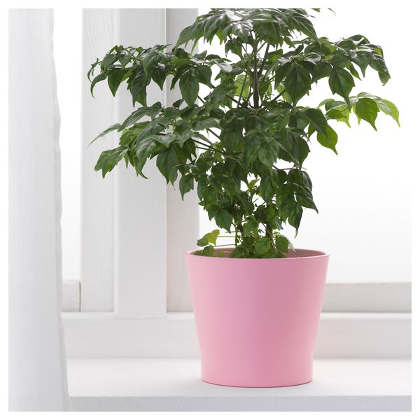 Кашпо ПАПАЙА, розовый, серый (12 см) - фото 2