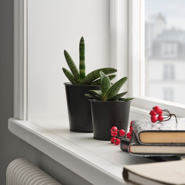 Кашпо, 9 см, для дома, улицы антрацит IKEA ÅKERBÄR 105.515.53 - фото 3