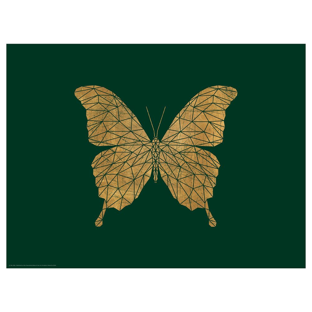 Постер, Бабочка, 40x30 см IKEA DRÖMBILD ДРЁМБИЛЬД 604.361.17 - фото 1