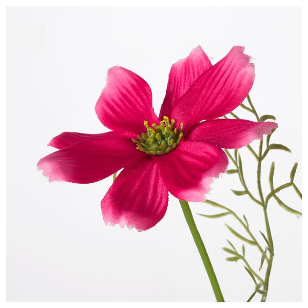 Цветок искусственный СМИККА, космея, розовый (24 см) - схема-чертеж с размерами