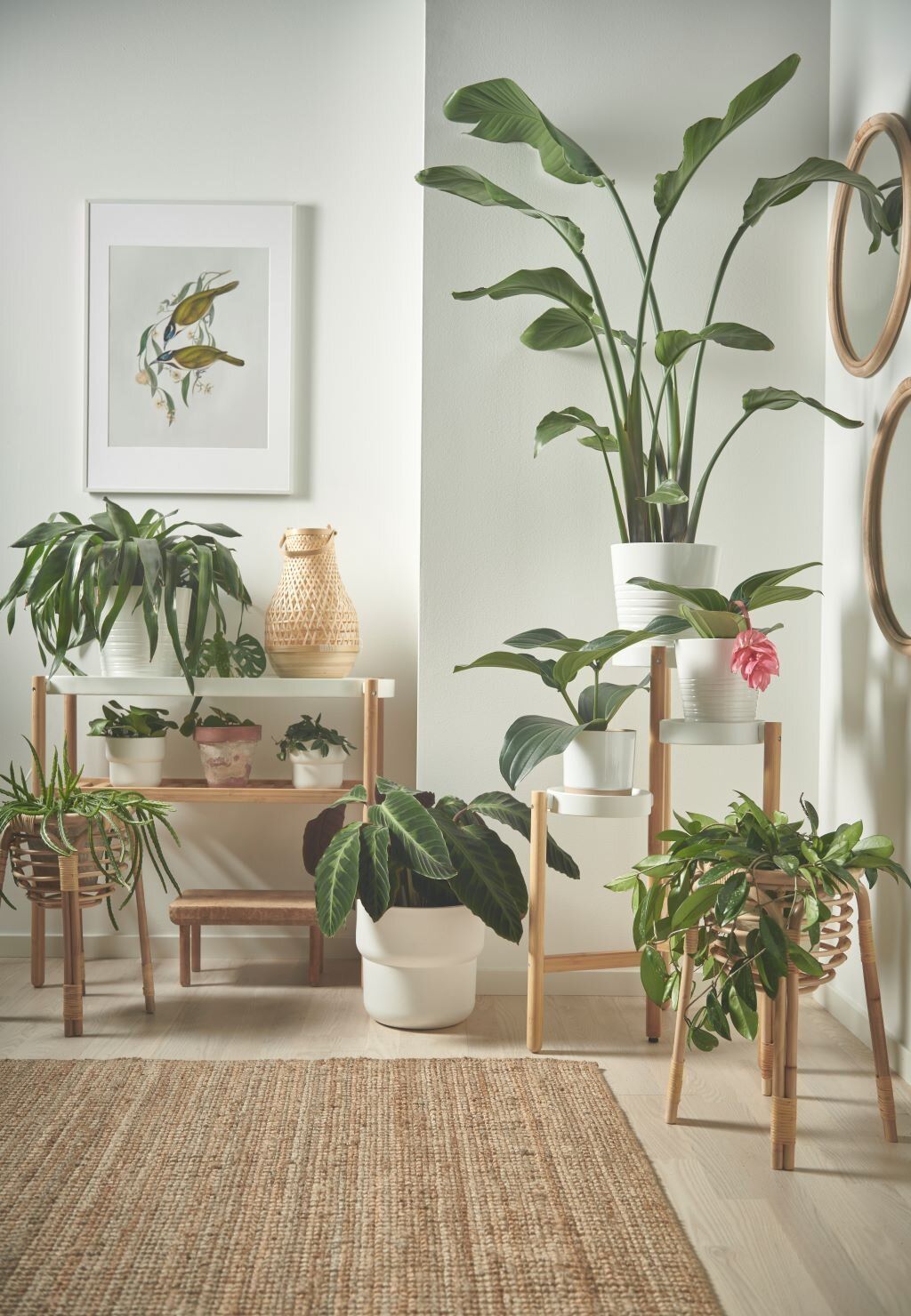 Лучшие поступления из нового каталога IKEA 2021