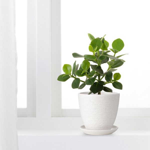 Горшок цветочный, белый 12 см IKEA SKAKIG СКАКИГ 504.313.56 - схема-чертеж с размерами