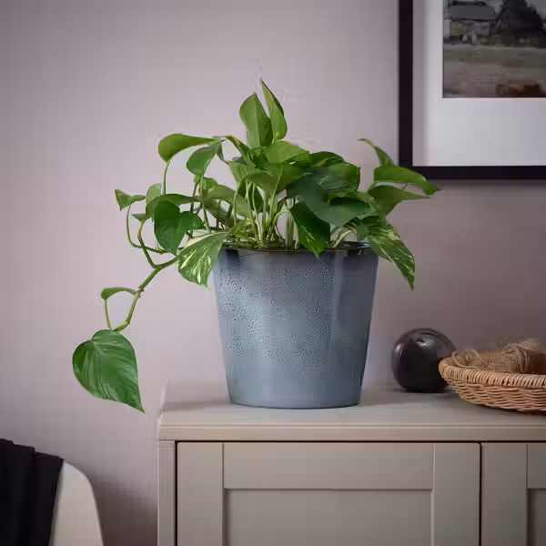 FJÄRILSBUSKE ФЬЕРИЛСБУСКЕ Кашпо - д/дома/улицы/синий 19 см - фото 3