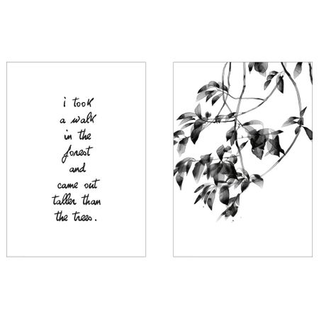 Постер, Прогулка в лесу, 50x70 см IKEA DRÖMBILD ДРЁМБИЛЬД 704.468.56