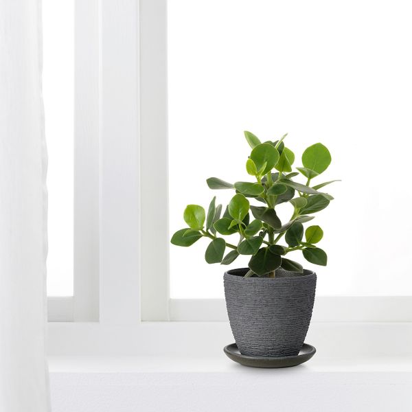 Горшок цветочный, серый 10 см IKEA СКАКИГ 404.313.52 - фото 3