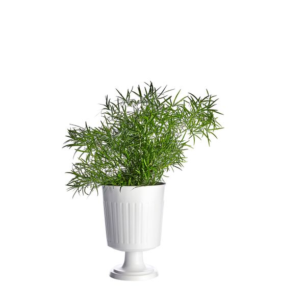 Вазон, для дома, улицы белый 19 см IKEA ЦИТРОНМЕЛИСС 104.645.08 - фото 5