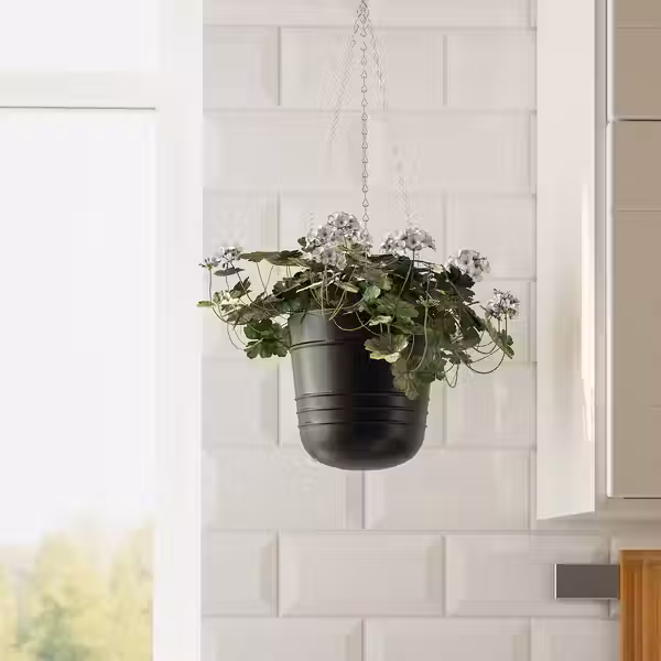 PÄRLRÖNN ПЭРЛРЁНН Кашпо подвесное - д/дома/улицы/чёрный 15 см - фото 4