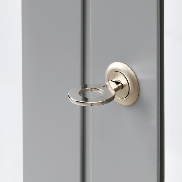 Шкаф-витрина, серый 81x113 см IKEA ФАБРИКОР 303.631.79 - фото 2