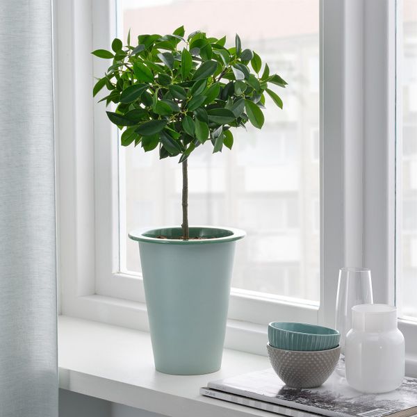 Кашпо, для дома, улицы зеленый 12 см IKEA FNITTRIG ФНИТТРИГ 204.795.33 - фото 2