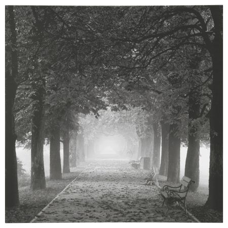 Картина ПЬЕТТЕРИД, Туманная аллея (90x90 см)