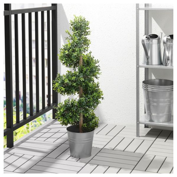 Искусственное растение в горшке ФЕЙКА, д/дома/улицы, самшит витой (17 см) - фото 2