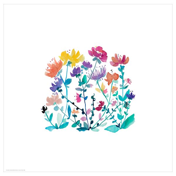 Постер, Полевые цветы, 50x50 см IKEA DRÖMBILD ДРЁМБИЛЬД 604.418.16 - фото 1