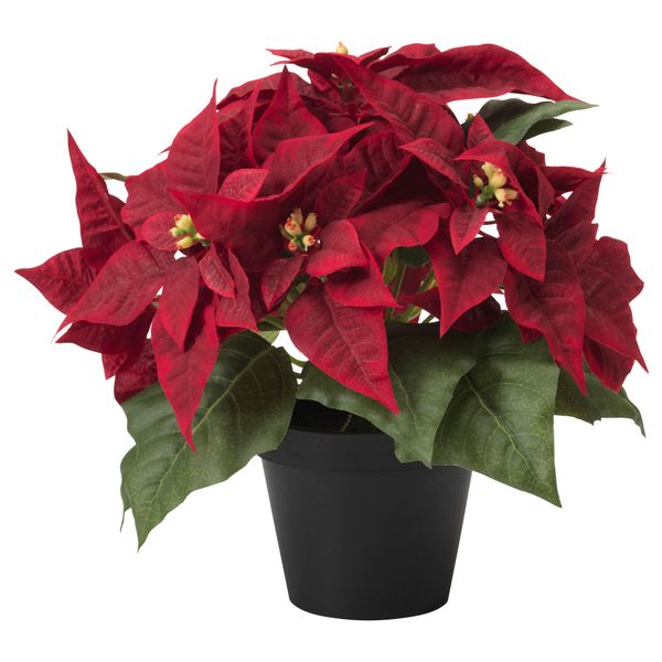 Искусственное растение в горшке ФЕЙКА, "Рождественская звезда" красный (12 см) - фото 1
