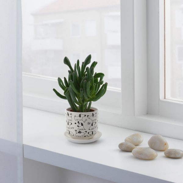 Горшок цветочный, белый/собака 10 см IKEA RUNDMYNTA РУНДМИНТА 505.170.29 - фото 2